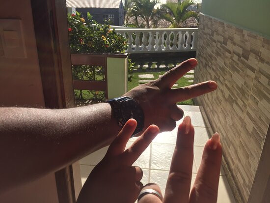 提莫内罗旅馆主图