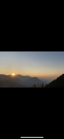 Nest And Hives主图