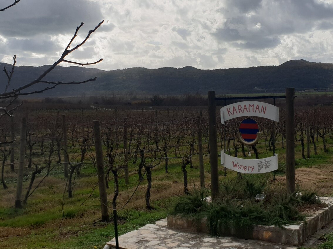Karaman Winery景点图片