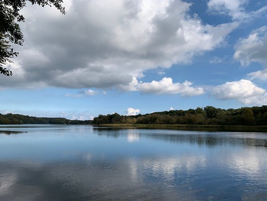 Gyllebo lake景点图片