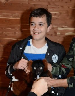 T.I.G.E.R.S. Preservation Station-美特尔海滩必去景点