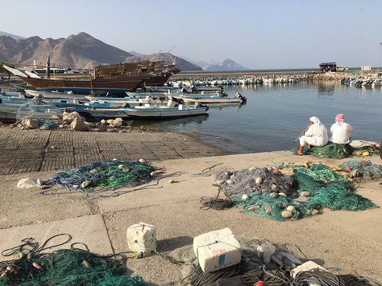 金色郁金香度假村主图