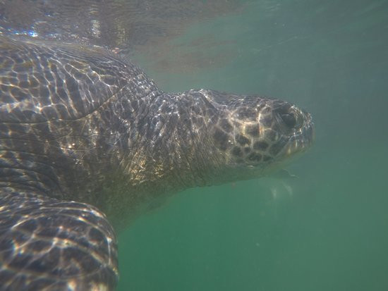 Puerto Velero-Organos必去景点