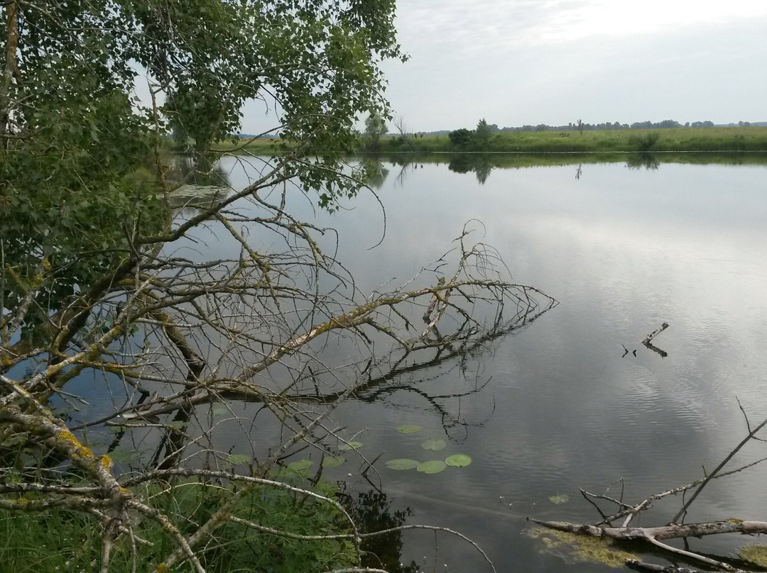 Desna River-Chernihiv必去景点