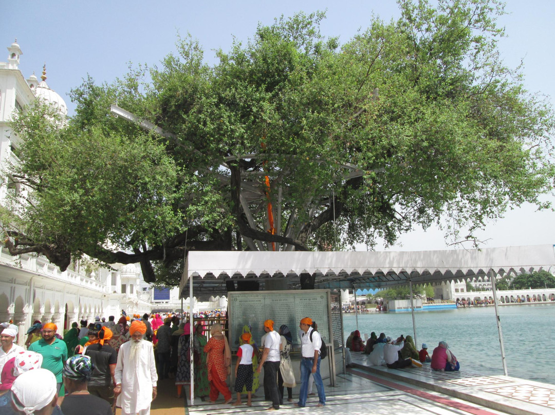 Dukh Bhanjani Ber Tree景点图片