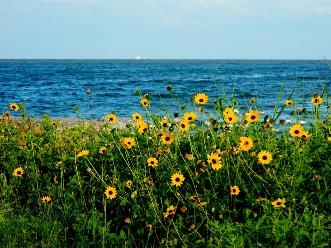 Surfside Beach旅游攻略图片