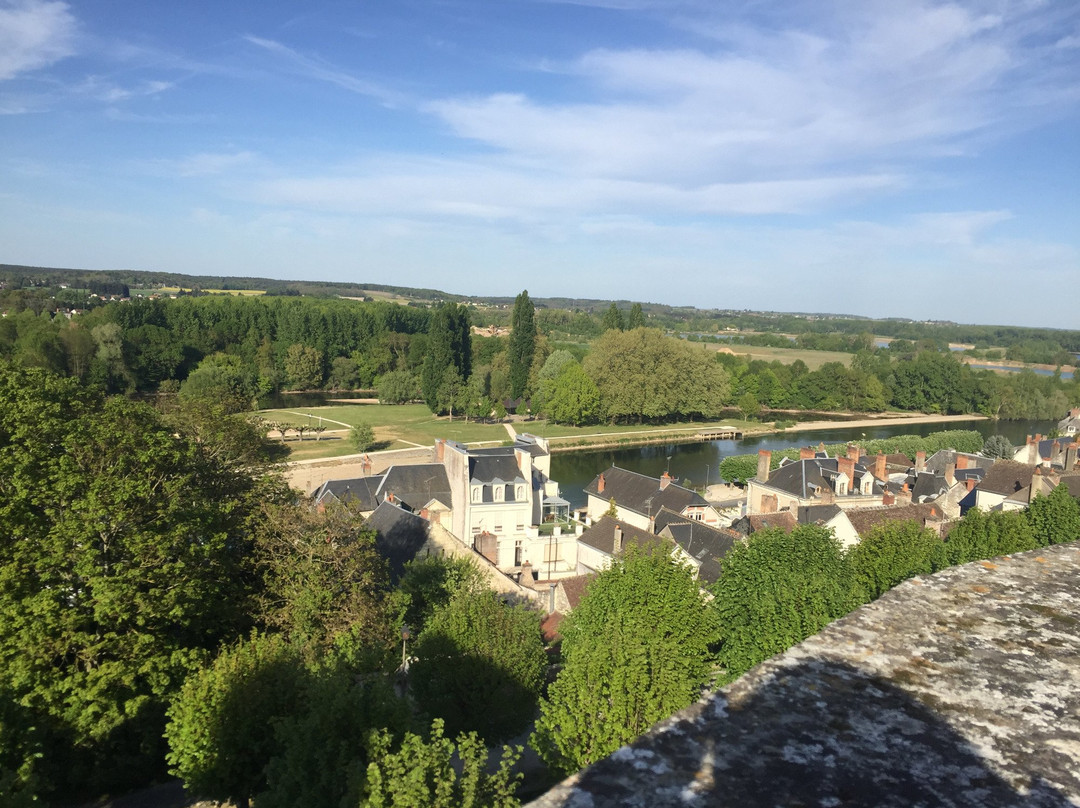 Sud Val de Loire Tourisme景点图片