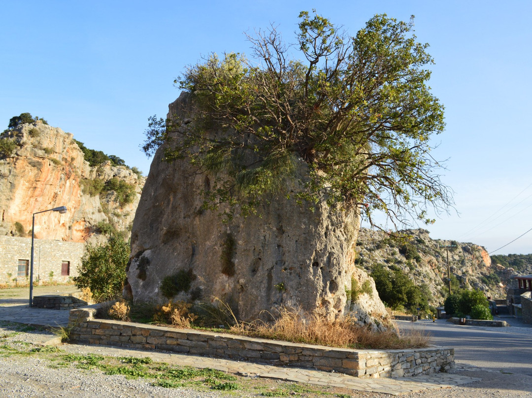 Zoniana旅游攻略图片