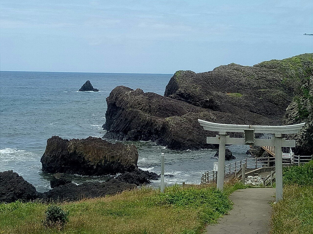 Echizen Matsushima Aquarium景点图片
