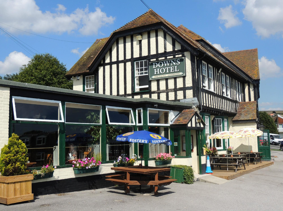 Rottingdean酒店住宿-The Downs Hotel