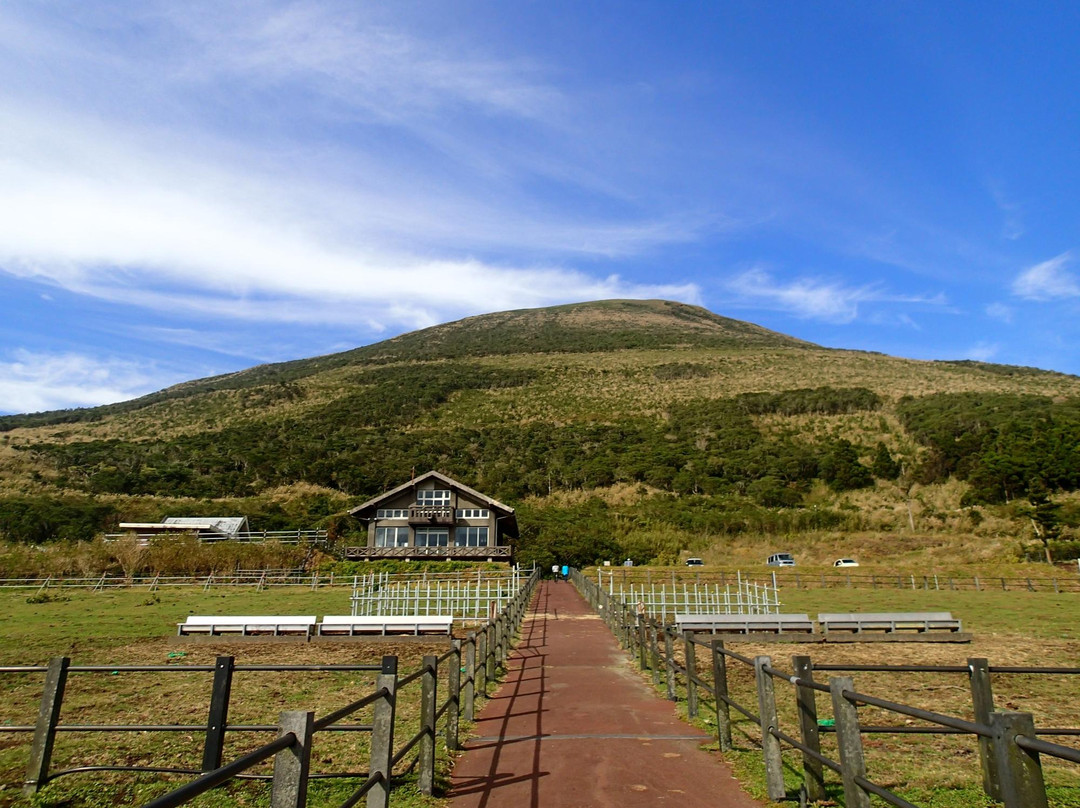 Hachijo Fuji景点图片