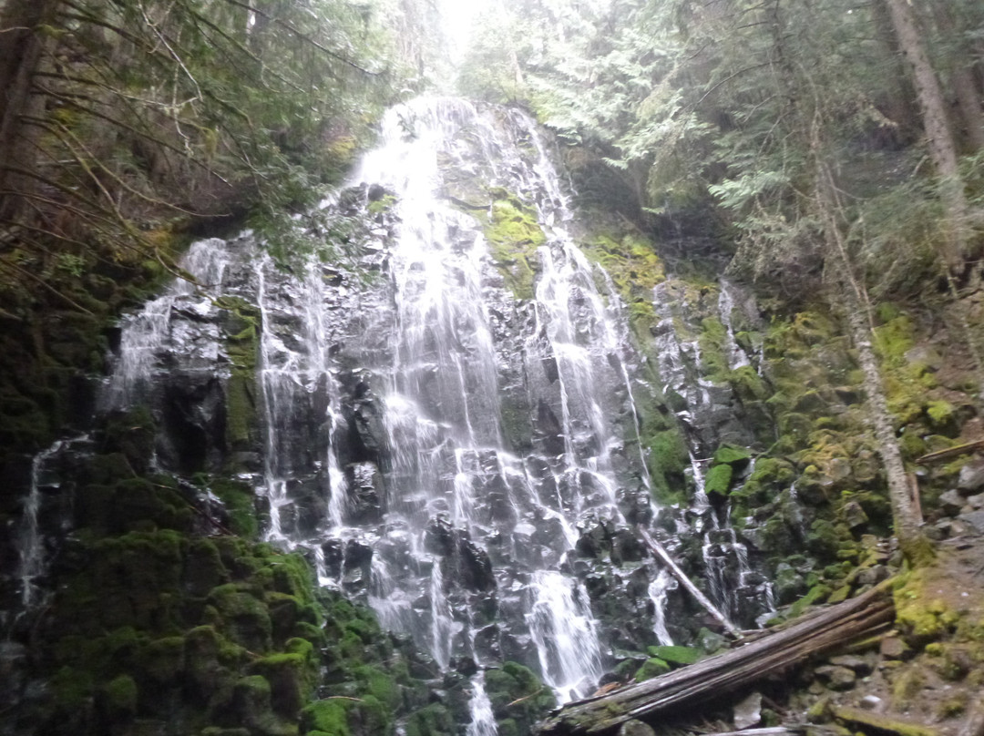 Ramona Falls Trail