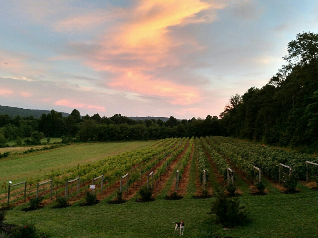 Sabillasville旅游景点-Red Heifer Winery