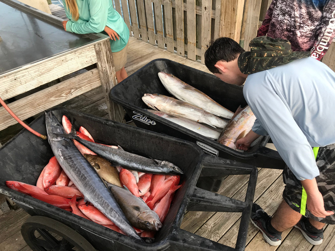 Miss Brianna Gulf Shores Fishing Charters-橙色海湾必去景点