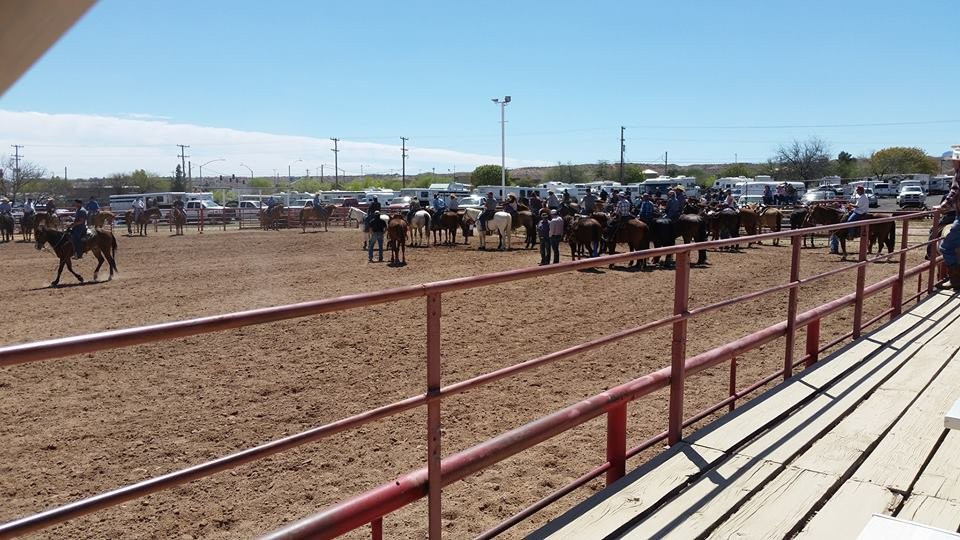 Arena Bar-Benson必去景点