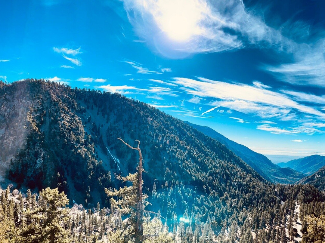 Old Baldy-Wimberley必去景点