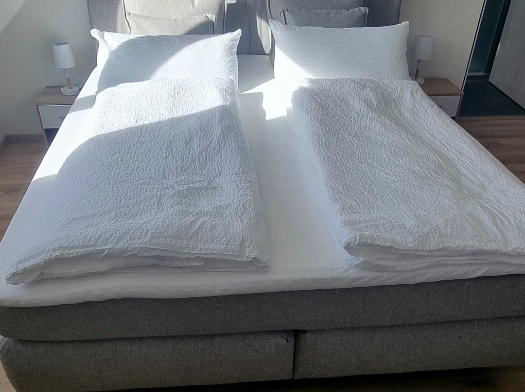 Collenberg酒店住宿-Gasthaus Goldener Stern