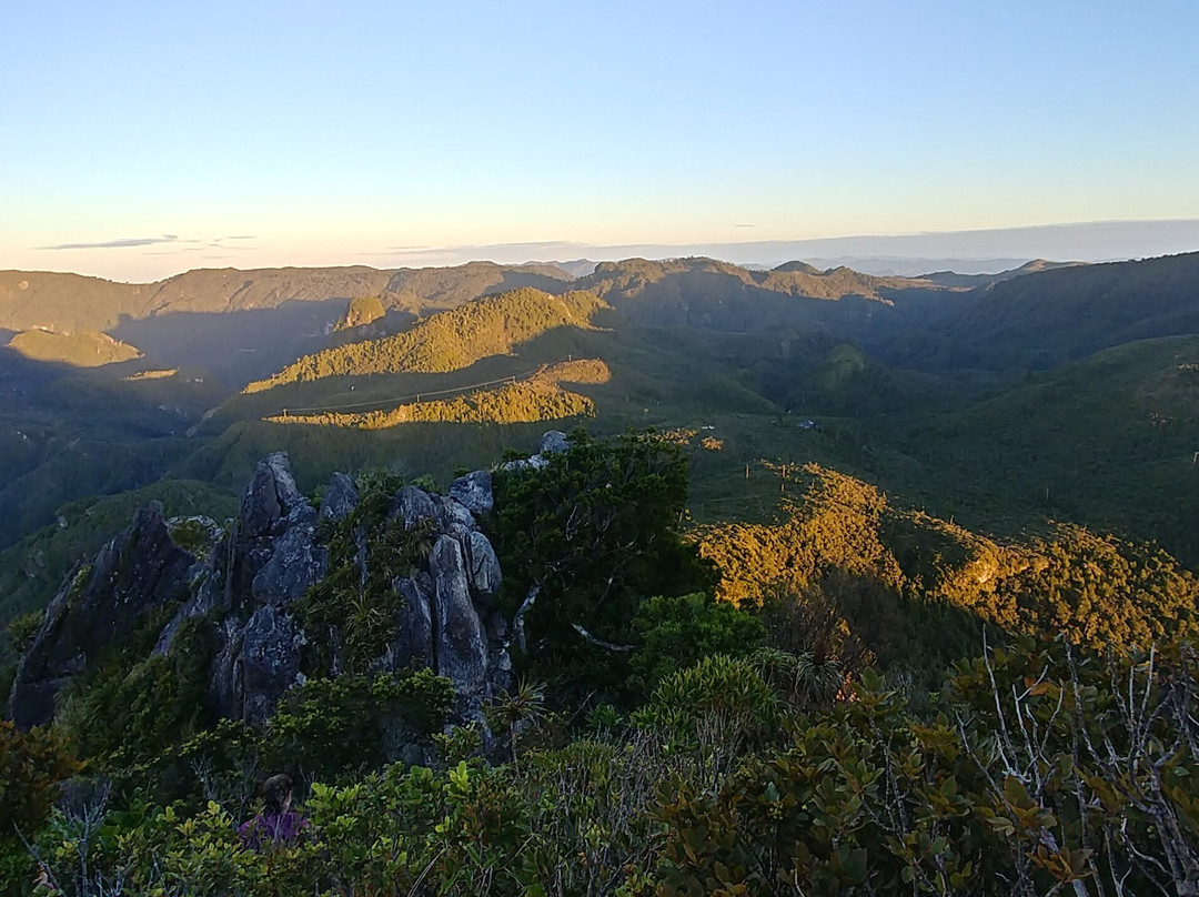 Kauaeranga Kauri Trail (Pinnacles Walk)景点图片