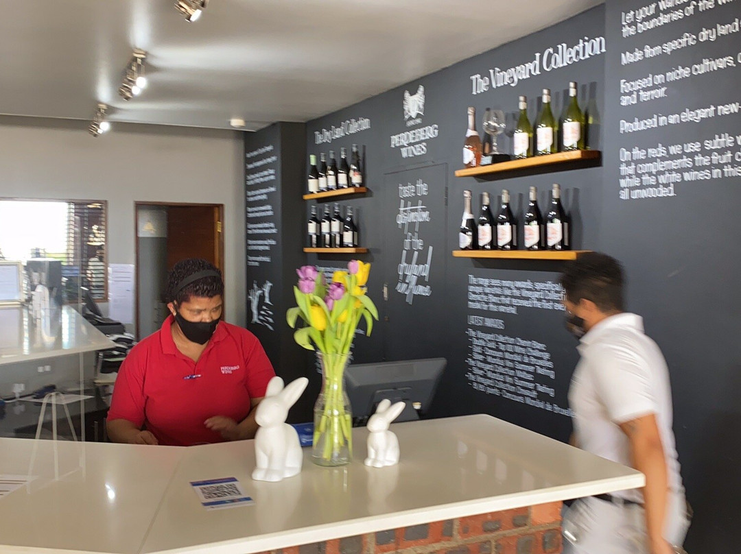 Perdeberg Winery-Windmeul必去景点