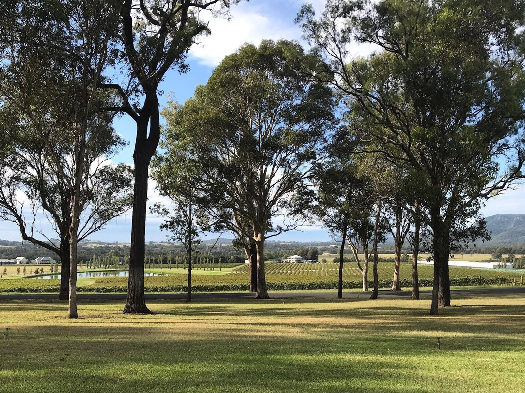 马丁尼马奇酒店主图