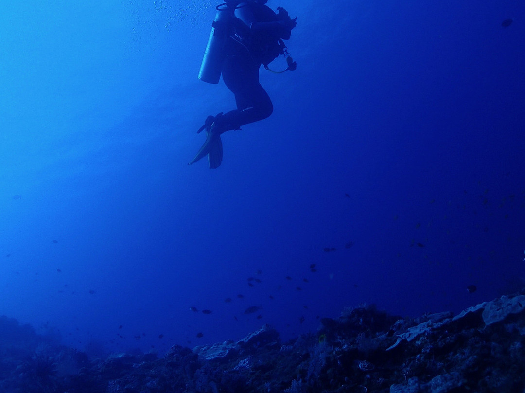 Dive India景点图片