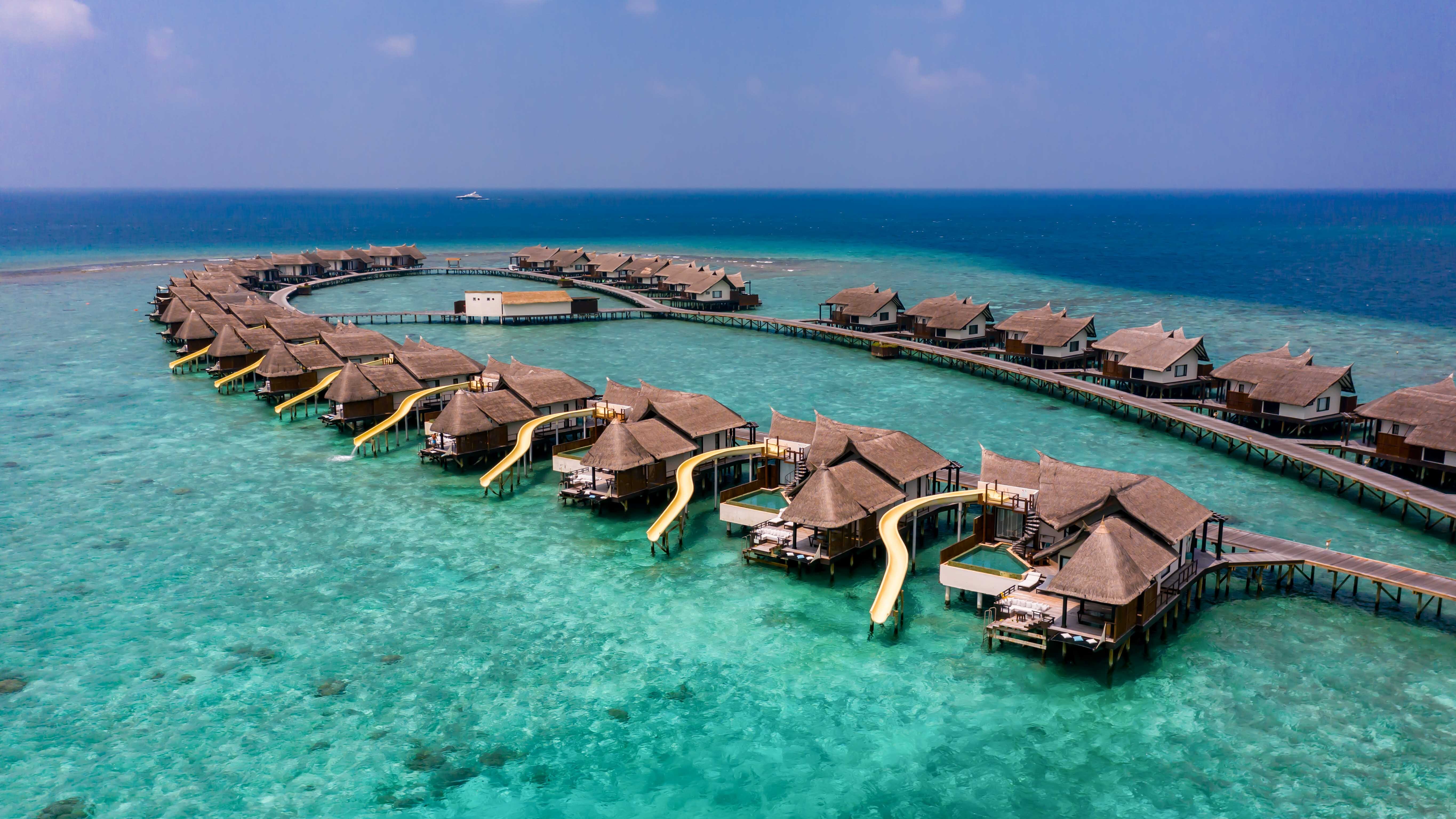 Ozen Reserve Bolifushi-官方