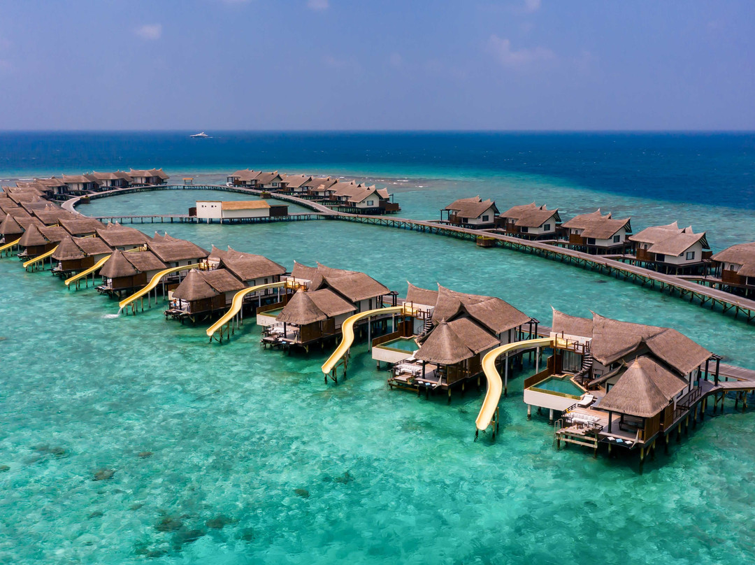 Ozen Reserve Bolifushi主图