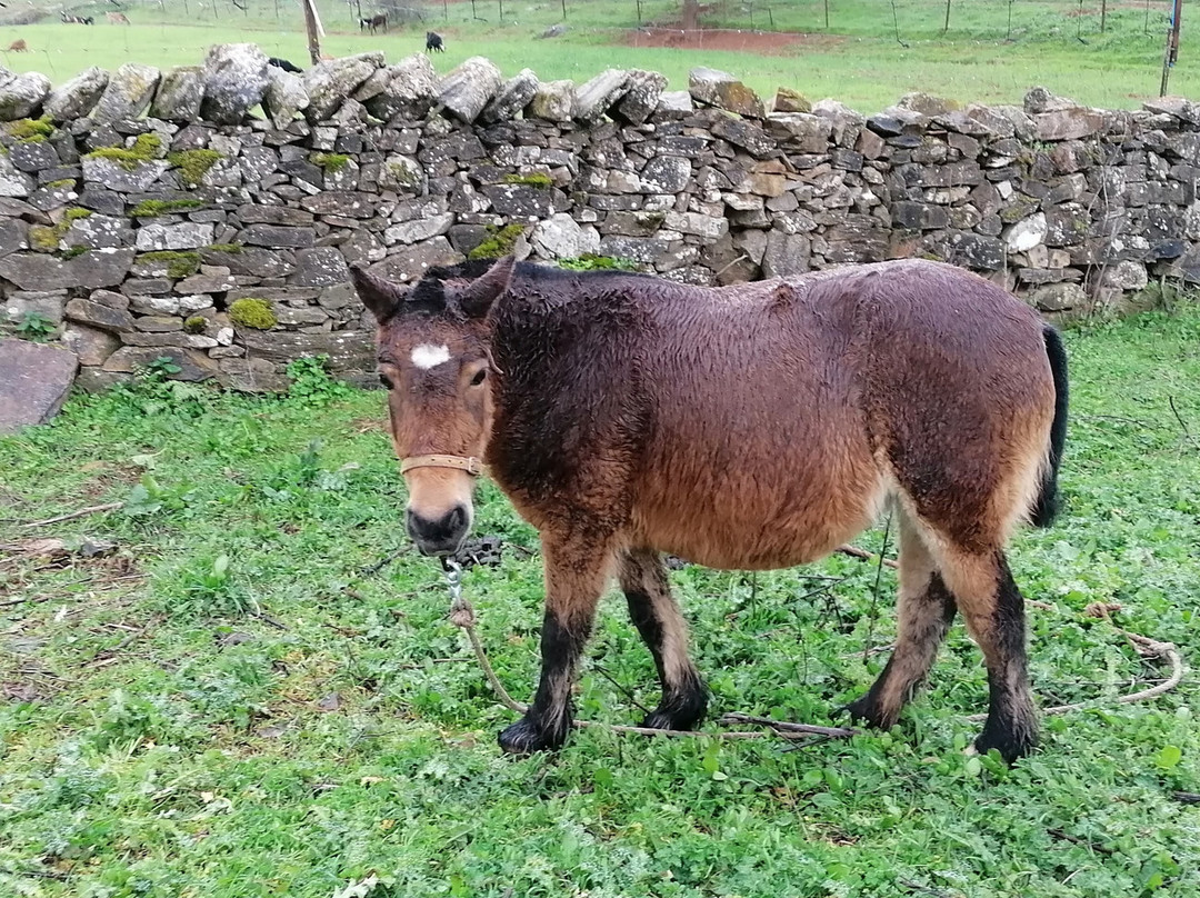 Hotel Rural Finca La Herencia主图