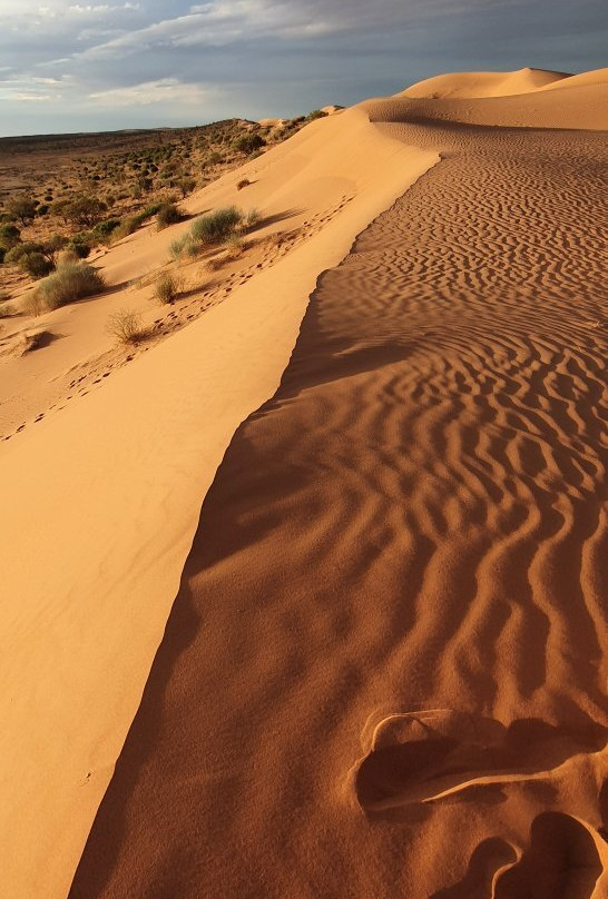 Birdsville Adventure Tours-Birdsville必去景点