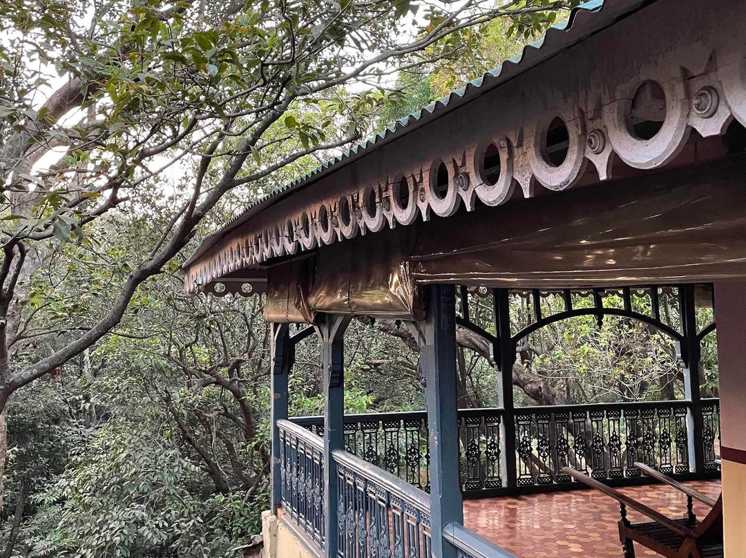Dune Barr House - Verandah In The Forest主图
