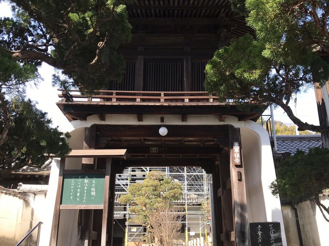 Furuderameguri Course-尾道市必去景点