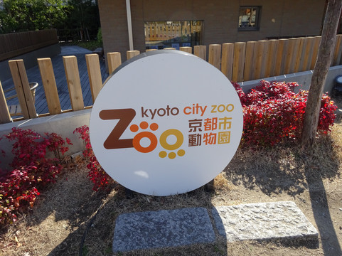 京都市动物园-京都市必去景点