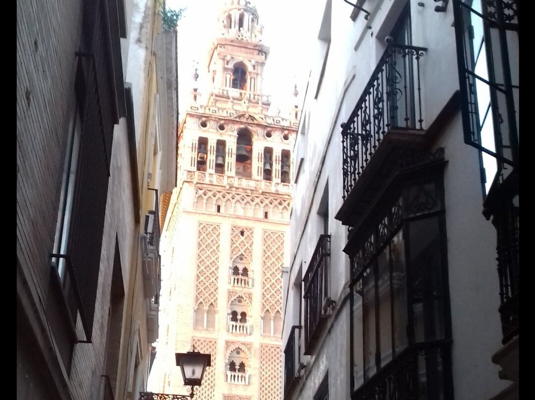 Seville Private Guide - Sofia Ventura-塞维利亚必去景点