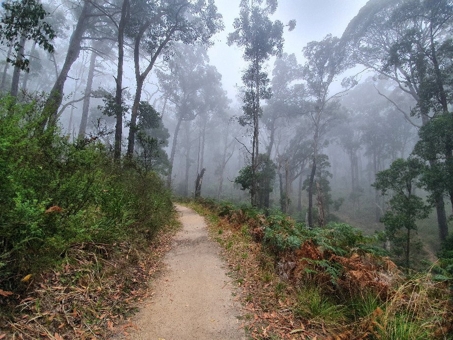 Mount Buangor State Park-维多利亚必去景点