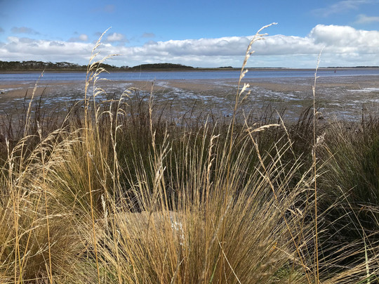 Duck River Foreshore Path-Smithton必去景点