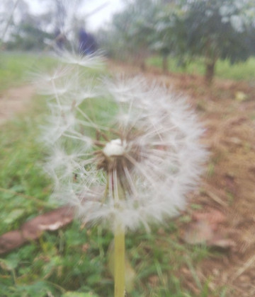 Bike Heroes Tanzania-莫西必去景点