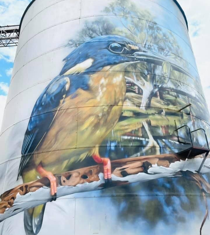 GrainCorp Silo Art-Rochester必去景点