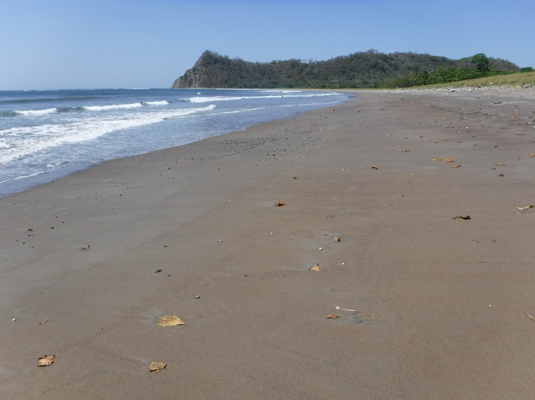 Playa Buena Vista景点图片