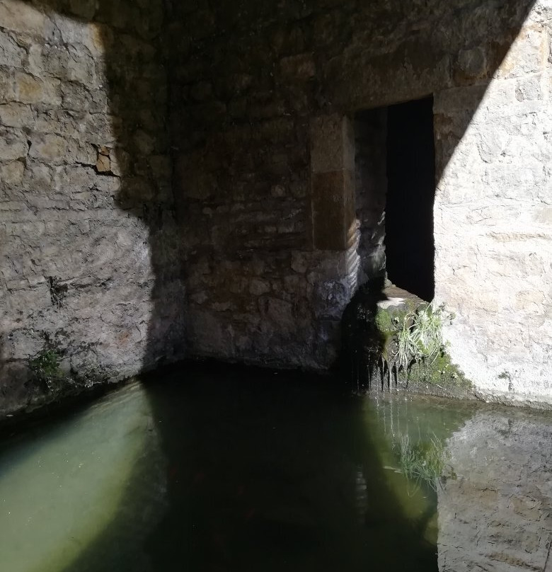 Fonte e porta san Felice景点图片