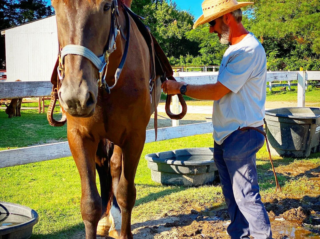 Kay’s Acres-Suffolk必去景点