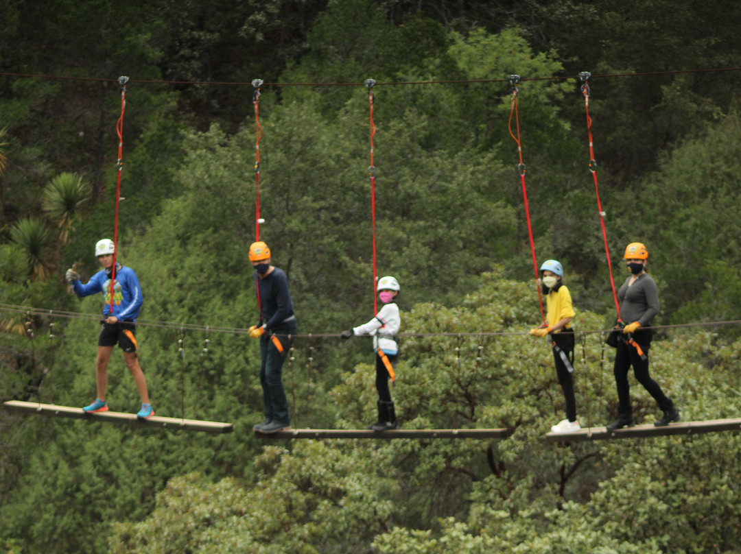 Los Cardos Adventure Park景点图片