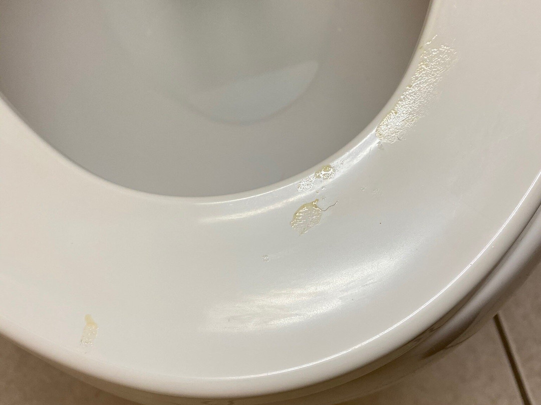 普林斯顿麦克罗特客栈&套房酒店主图