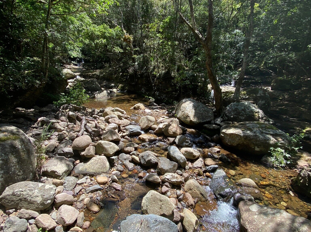 Minnamurra Rain Forest Centre景点图片