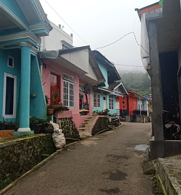 Homestay Dieng Cool主图