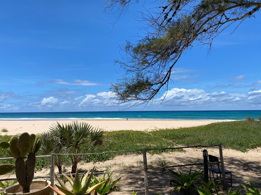 Liquid Dive Adventures-托佛必去景点