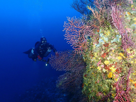 MENORCA BUCEO FORNELLS-Fornells必去景点