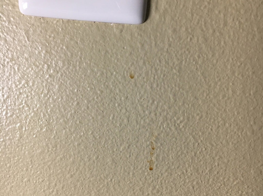 Microtel Inn & Suites by Wyndham Gulf Shores主图