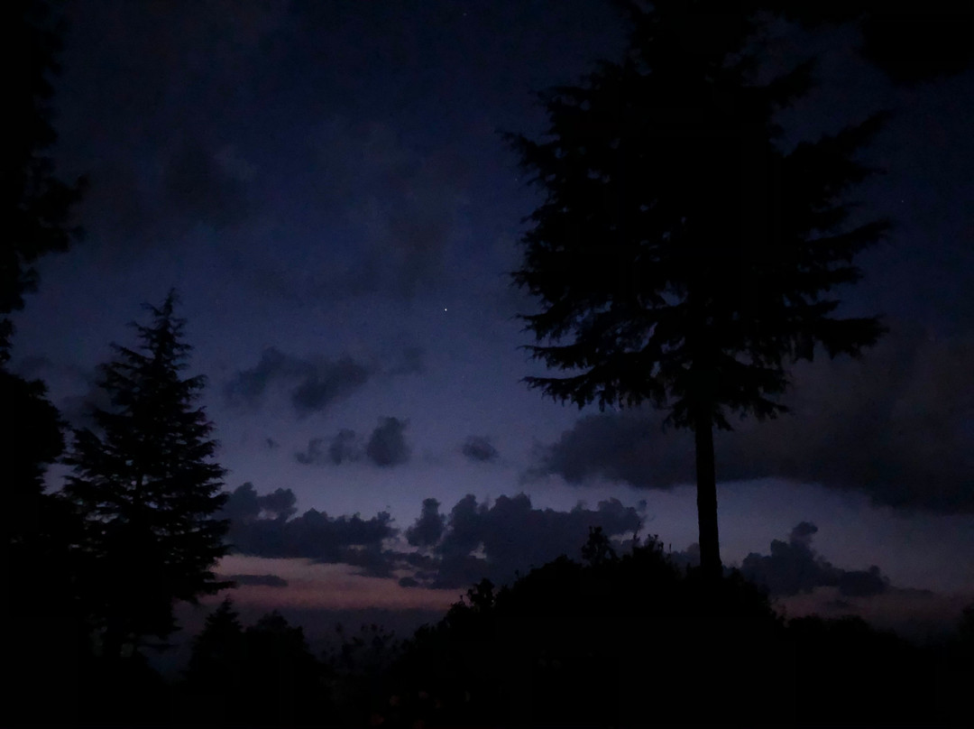 Nine Furlongs, Binsar Wildlife Sanctuary主图