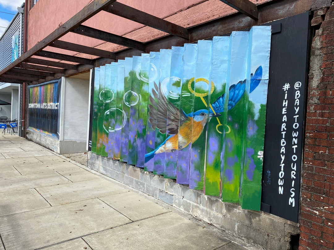 Umbrella Alley-Baytown必去景点