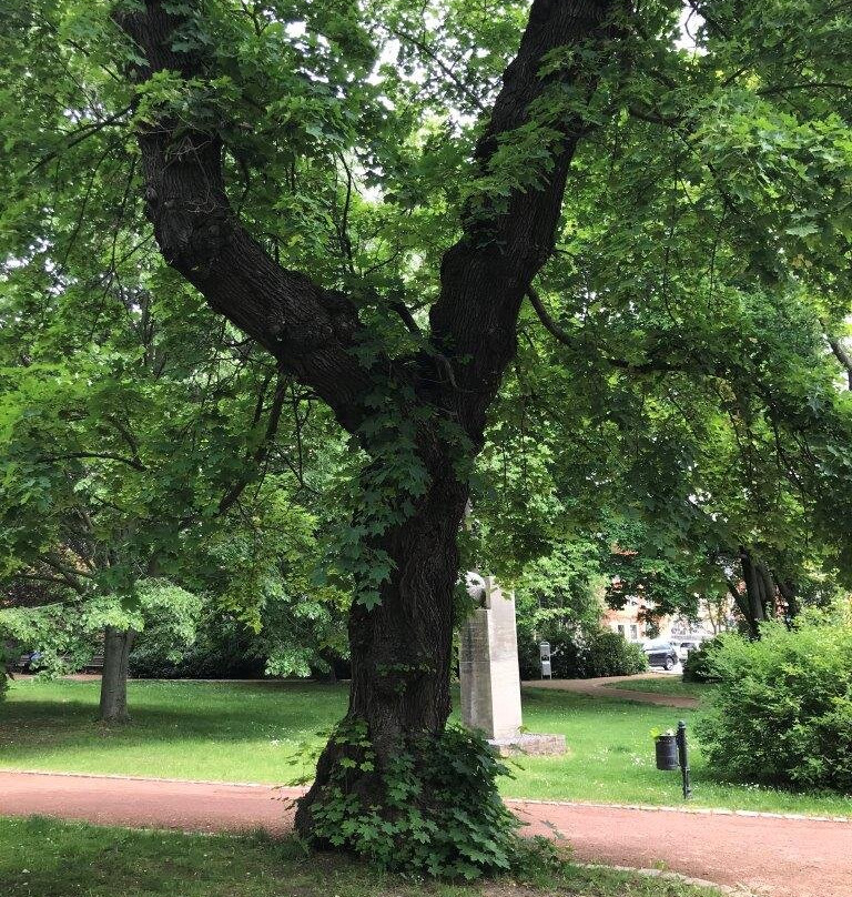 Stadtpark - mestský park景点图片